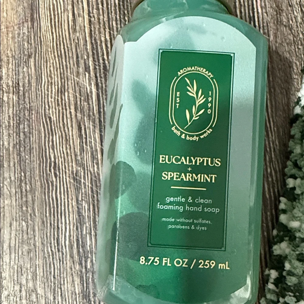 Bath & Body Works Eucalyptus Spearmint Hand Soap